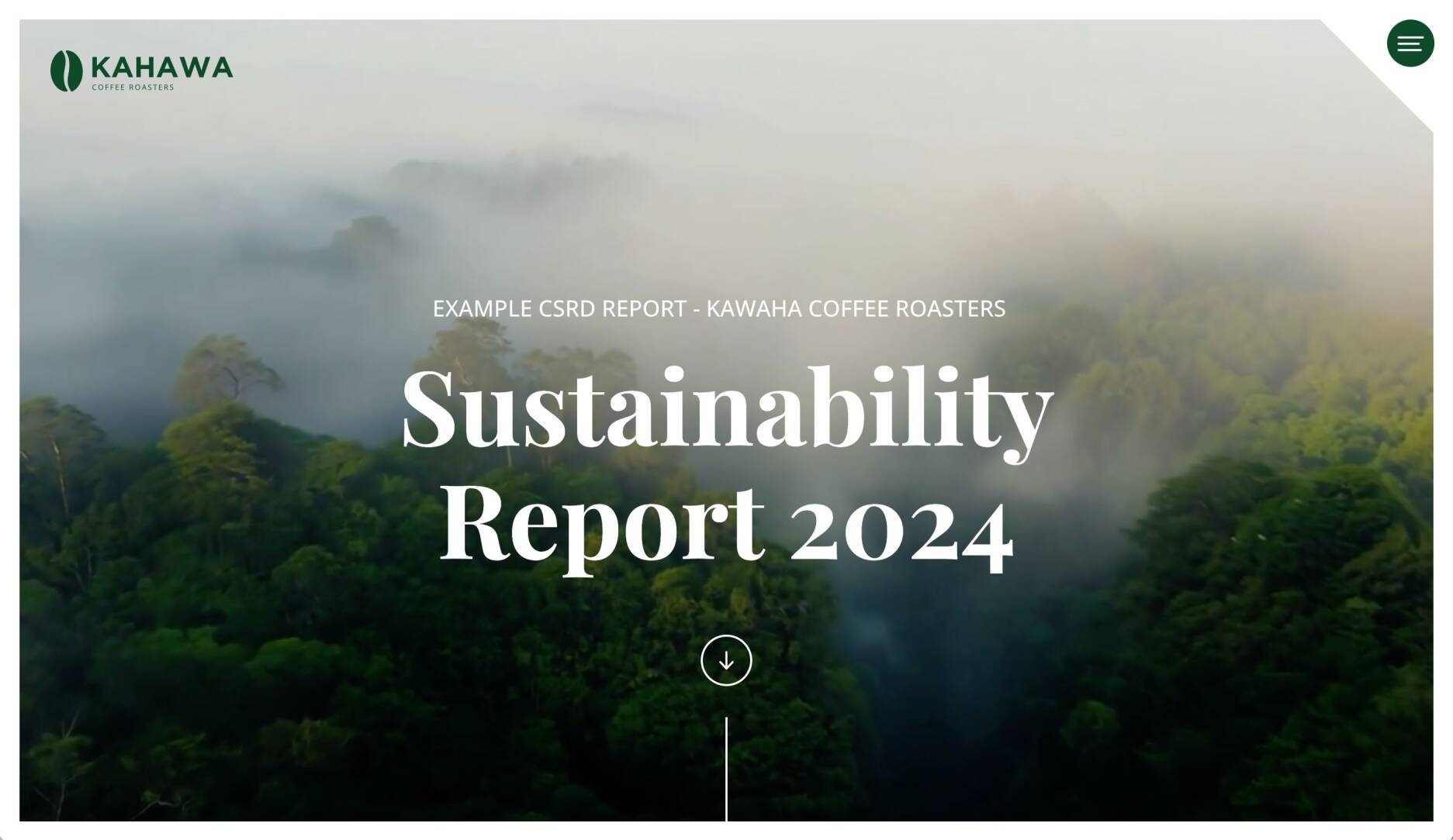 Example CSR report