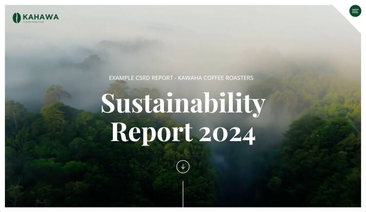 Example CSR report