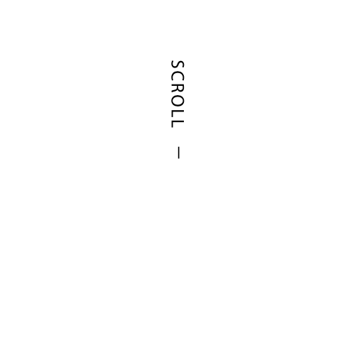 scroll animatie (copy1)