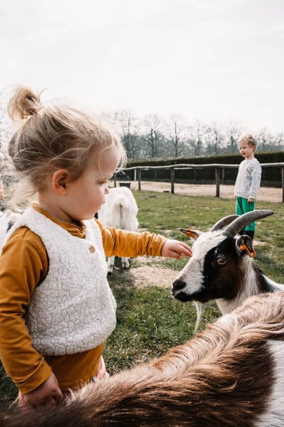 Een meisje aait een geit op de kinderboerderij