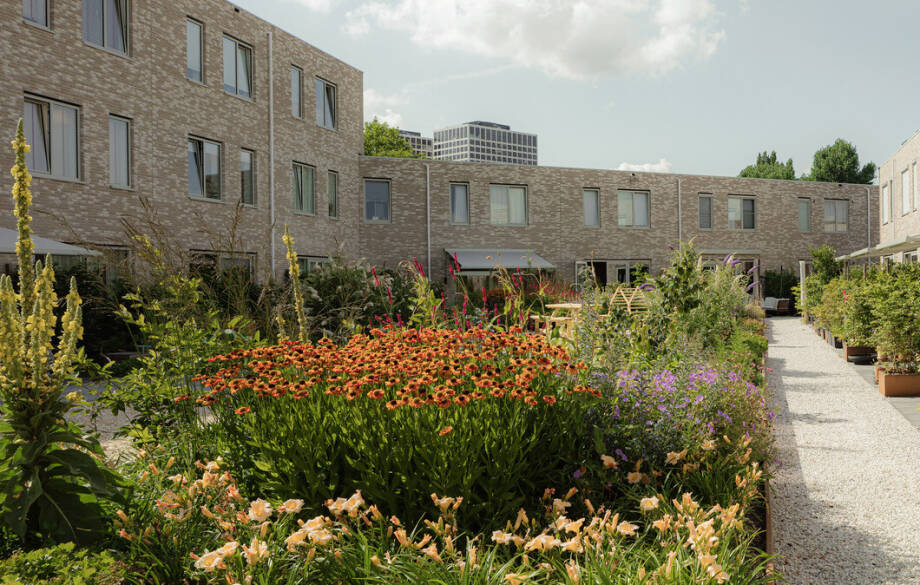 Referentiebeeld van de beoogde architectuur voor Nieuw Feithenhof