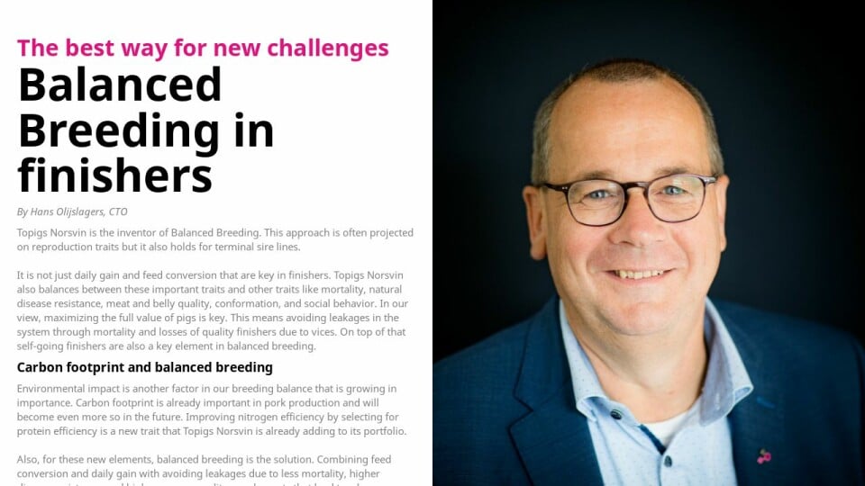 Balanced Breeding In Finishers Hans Olijslagers Online Magazine 