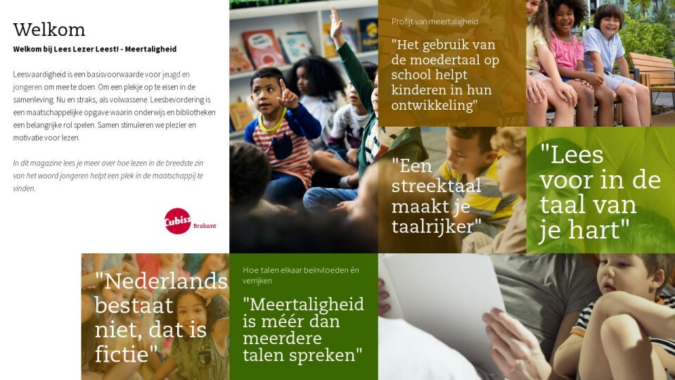 Inhoud - Lees, Lezer, Leest - Meertaligheid