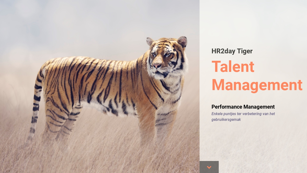 Manager Client Tiger Talent Management - Release Tiger