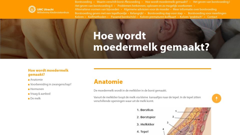 Hoe Wordt Moedermelk Gemaakt Borstvoeding