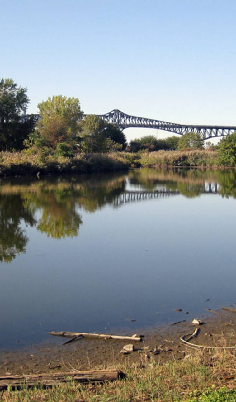 img-stormwater-evergl...