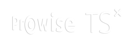 ts_ten_logo_perspective.png