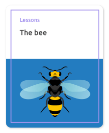 Card Onderwijs