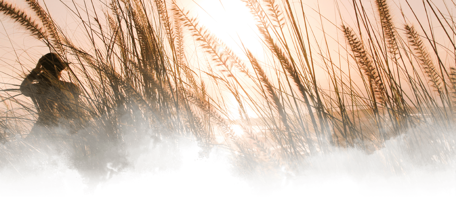 Image BG