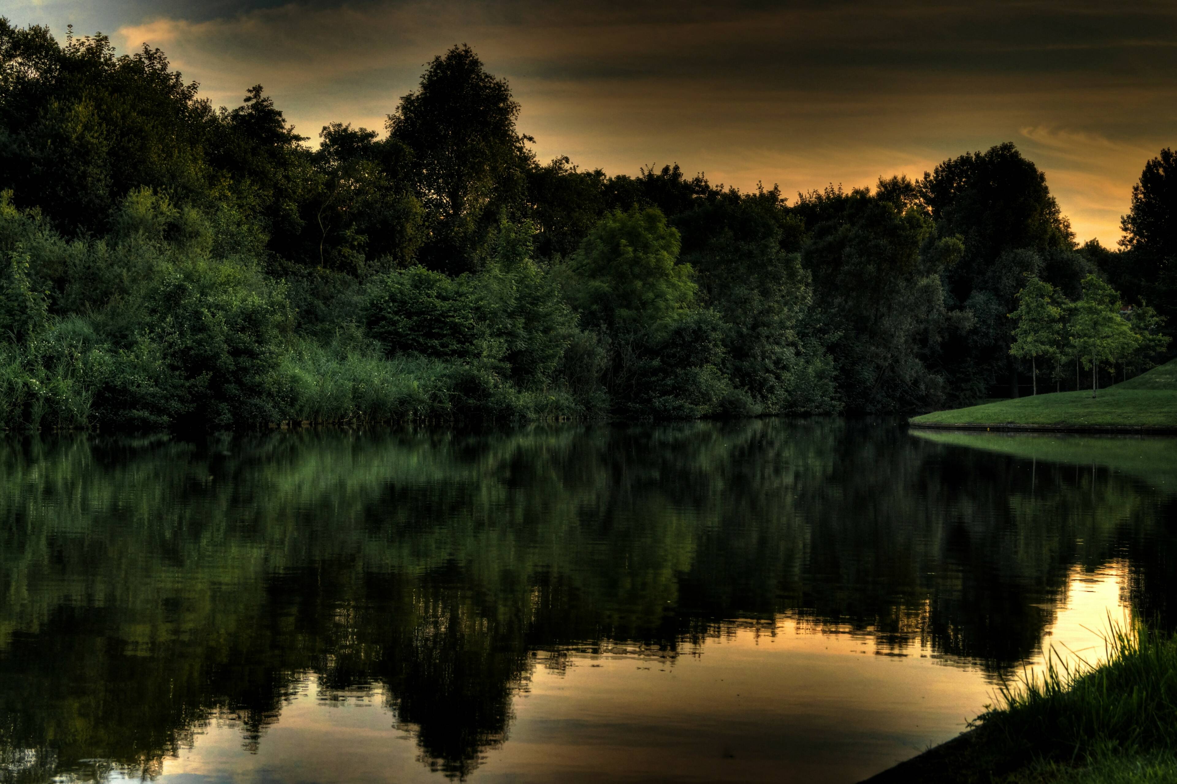 Beeld natuur met bos en rivier