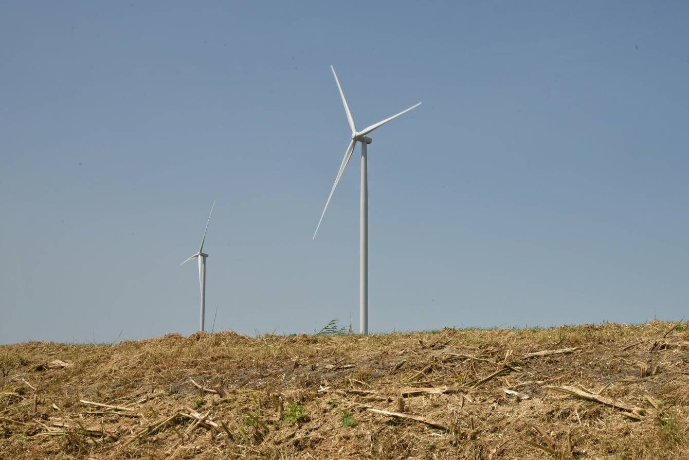Beeld van windmolens in natuurlandschap