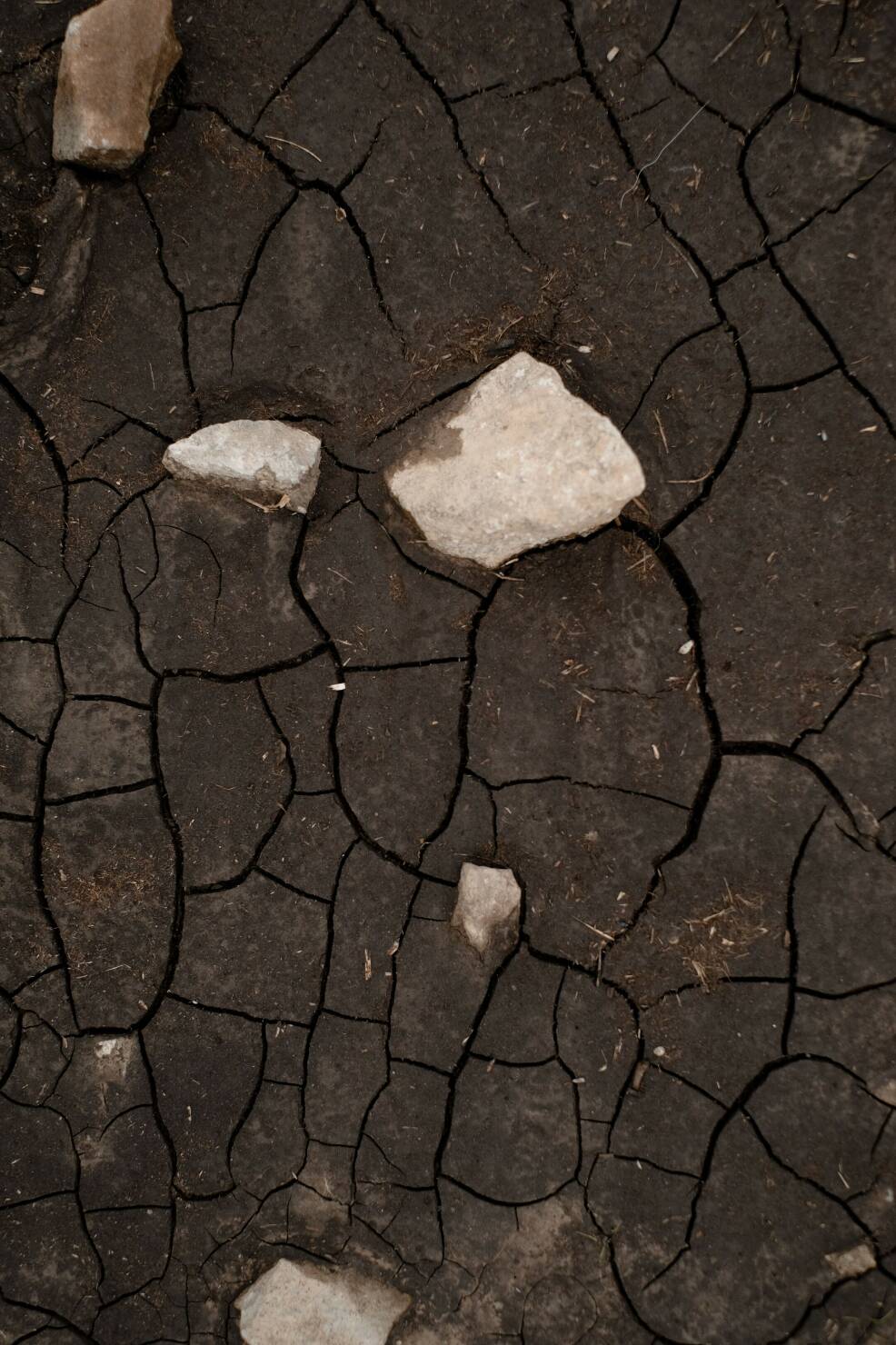 Beeld donkere kleigrond