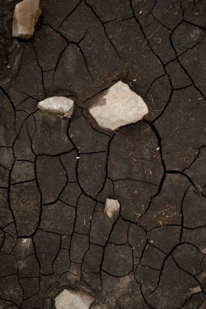 Beeld donkere kleigrond