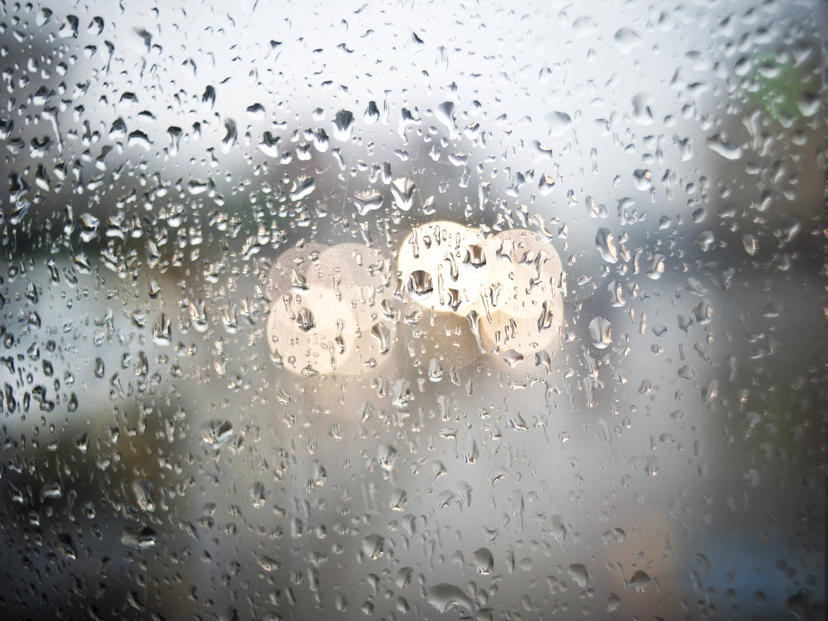 shutterstock_16568219...