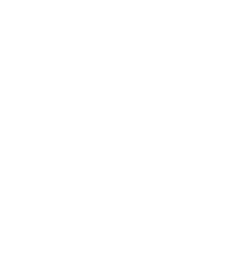 sneeuwvlok-wit.png