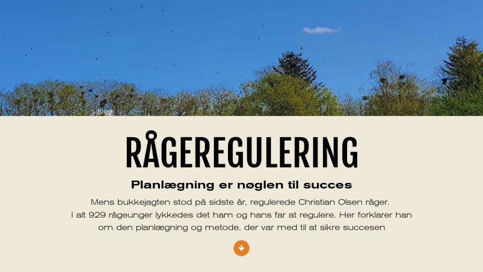 Planlægning er nøglen til succes med rågeregulering