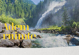 6 (copy2)