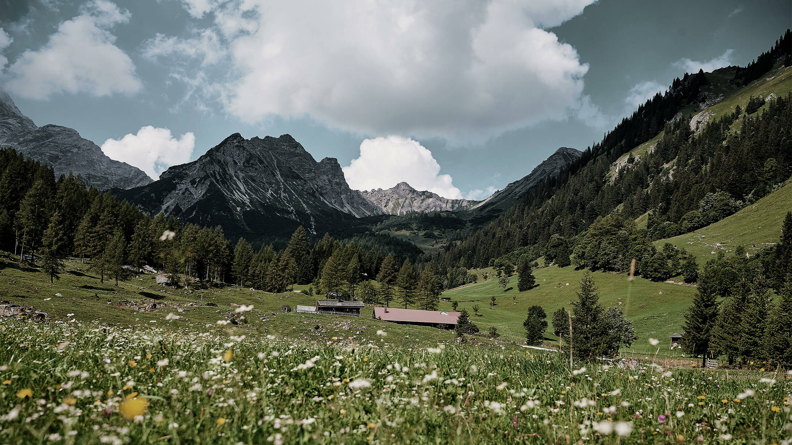grote foto-tiny.jpg