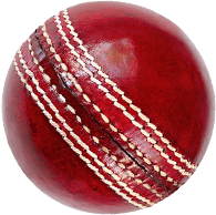 Cricketball vrijstaand