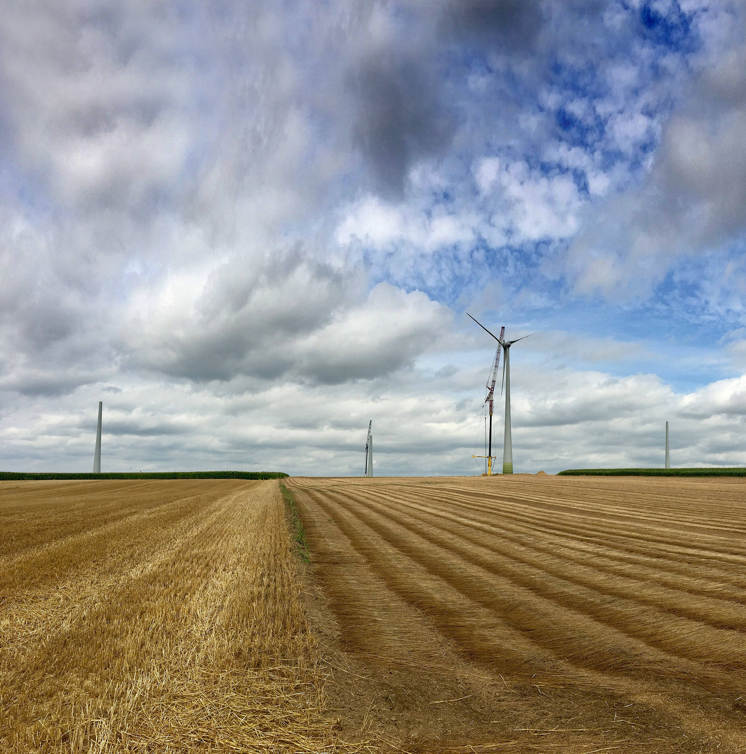 windmolen landschap