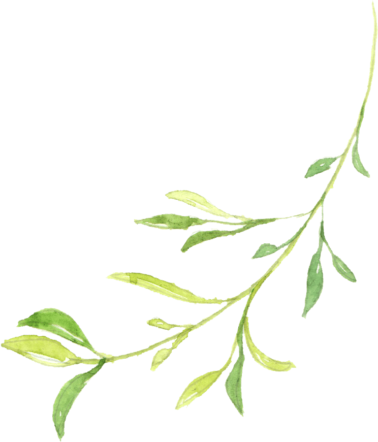 Leaf 4