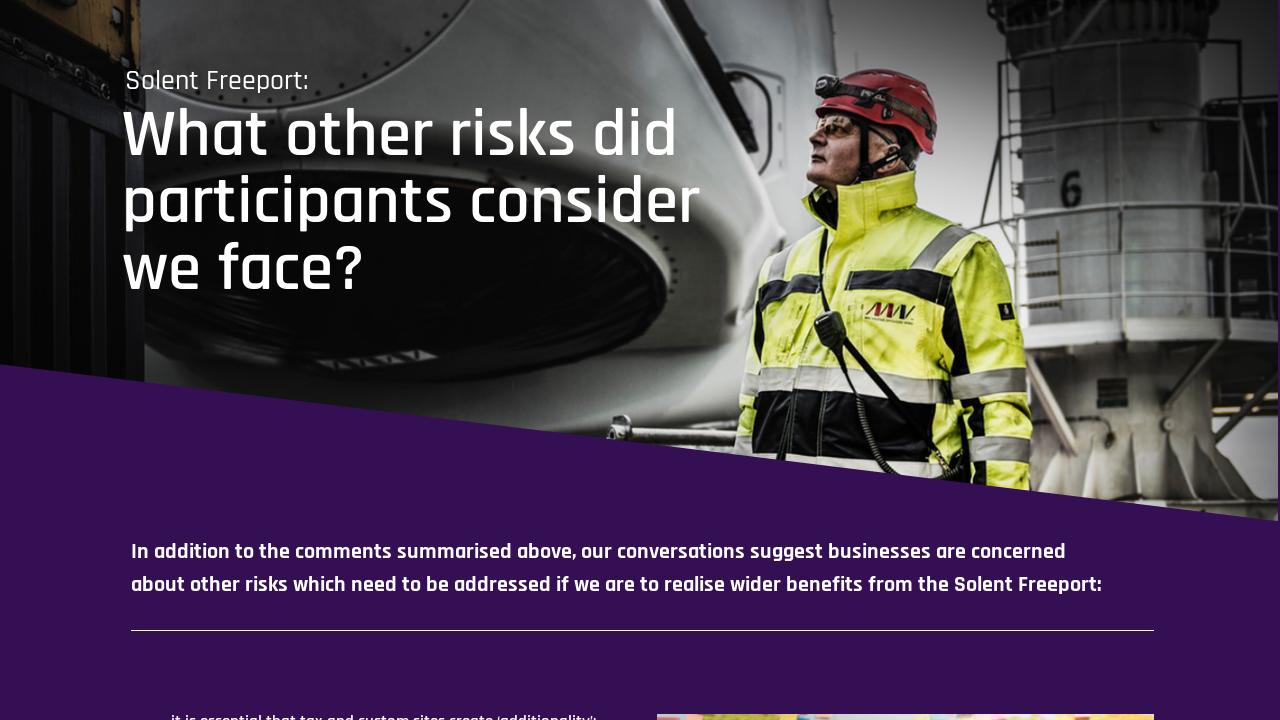 What other risks did participants consider we face - Freeport policy paper