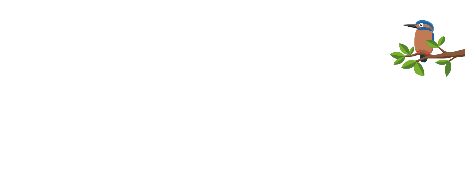 New image