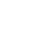 laptop.png (Copy)