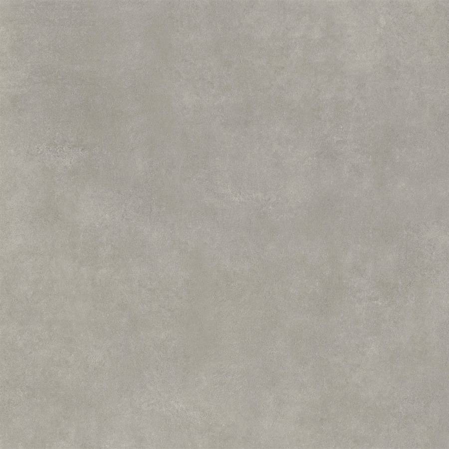 6207625019-basic-light.jpg