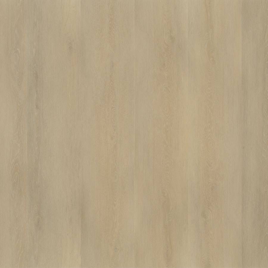 6200100119-wide-natural.jpg