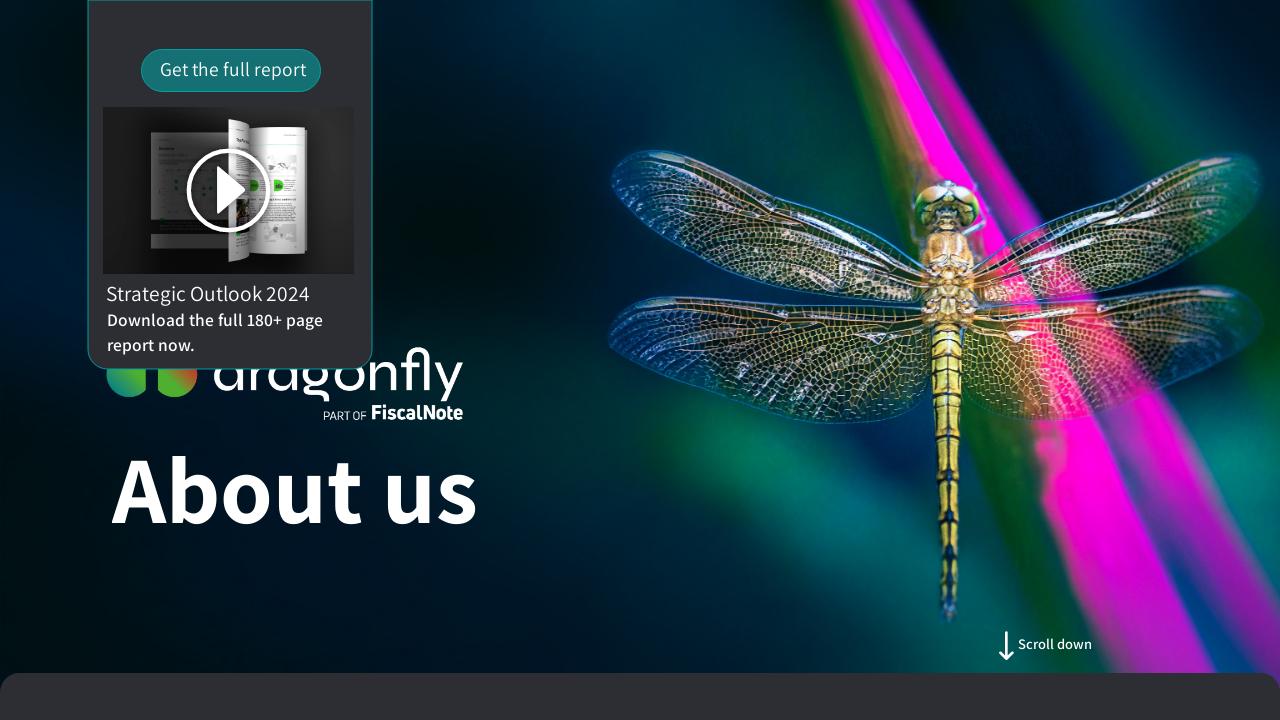 About Dragonfly Strategic Outlook 2024 About Dragonfly Strategic Outlook 2024