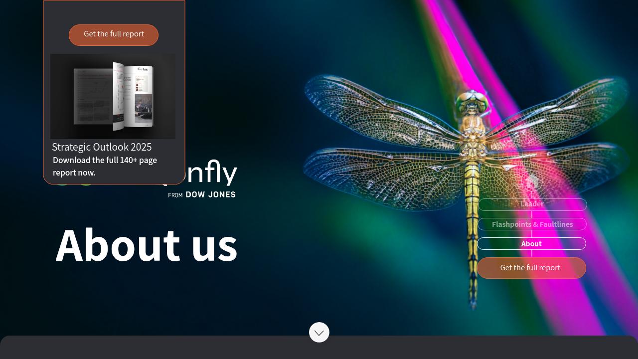 About Dragonfly Strategic Outlook 2025 About Dragonfly Strategic Outlook 2025