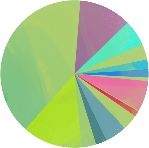 veelkleurig_taartdiagram_72dpi.png