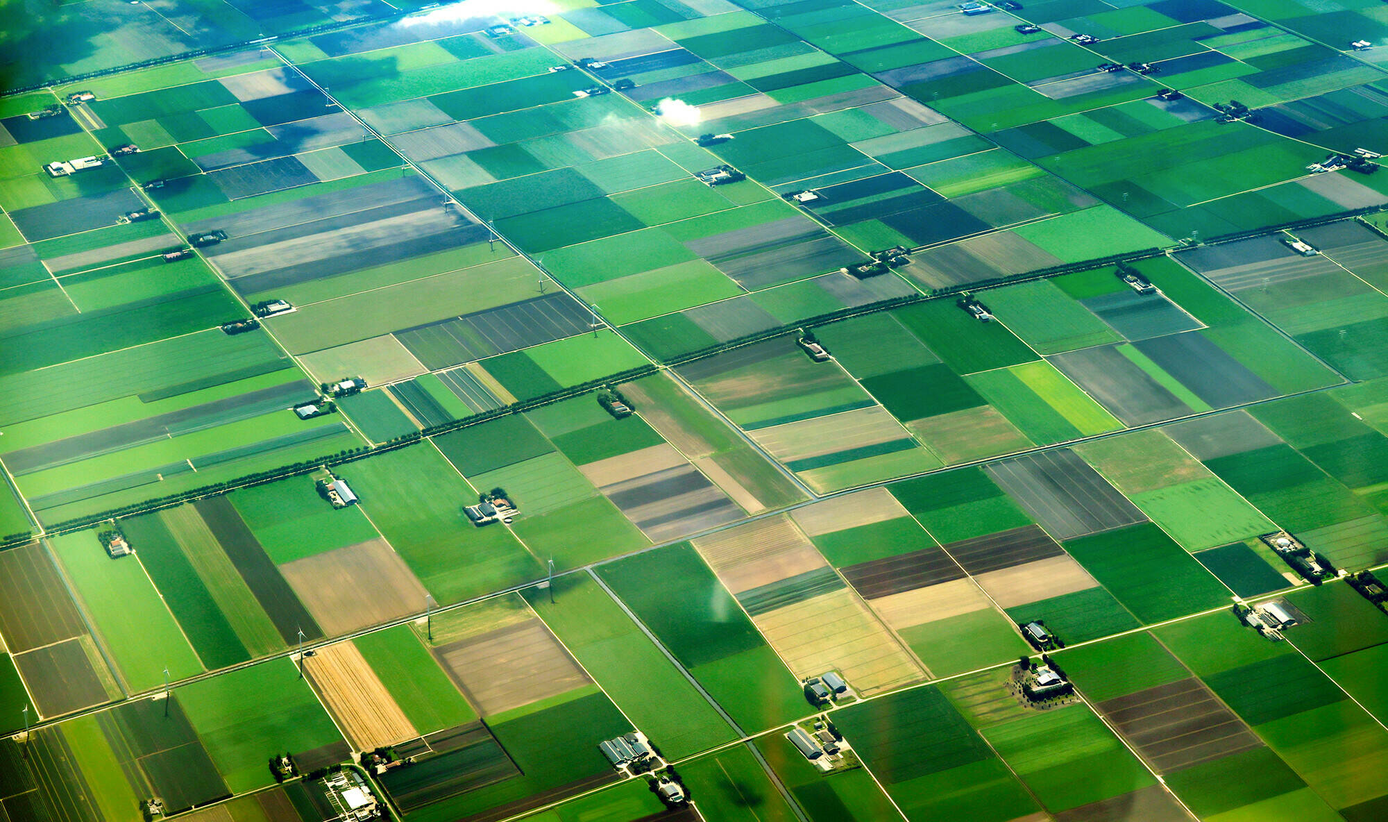Luchtfoto van een verkaveld landbouwlandschap.