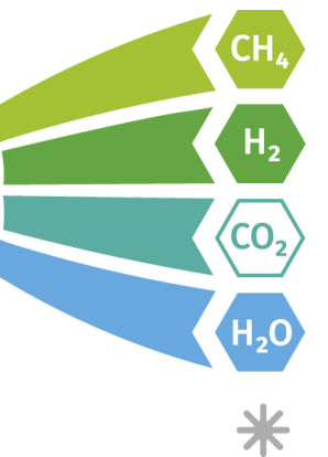 De gassen aan het eind van het proces  zijn CH4 (groen gas), H2 (groen waterstof), CO2 (groen) en H2O (water).