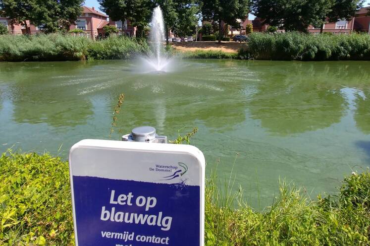 Foto van een bordje bij een vijver met een fontijn met daarop de tekst "Let op Blauwalg".