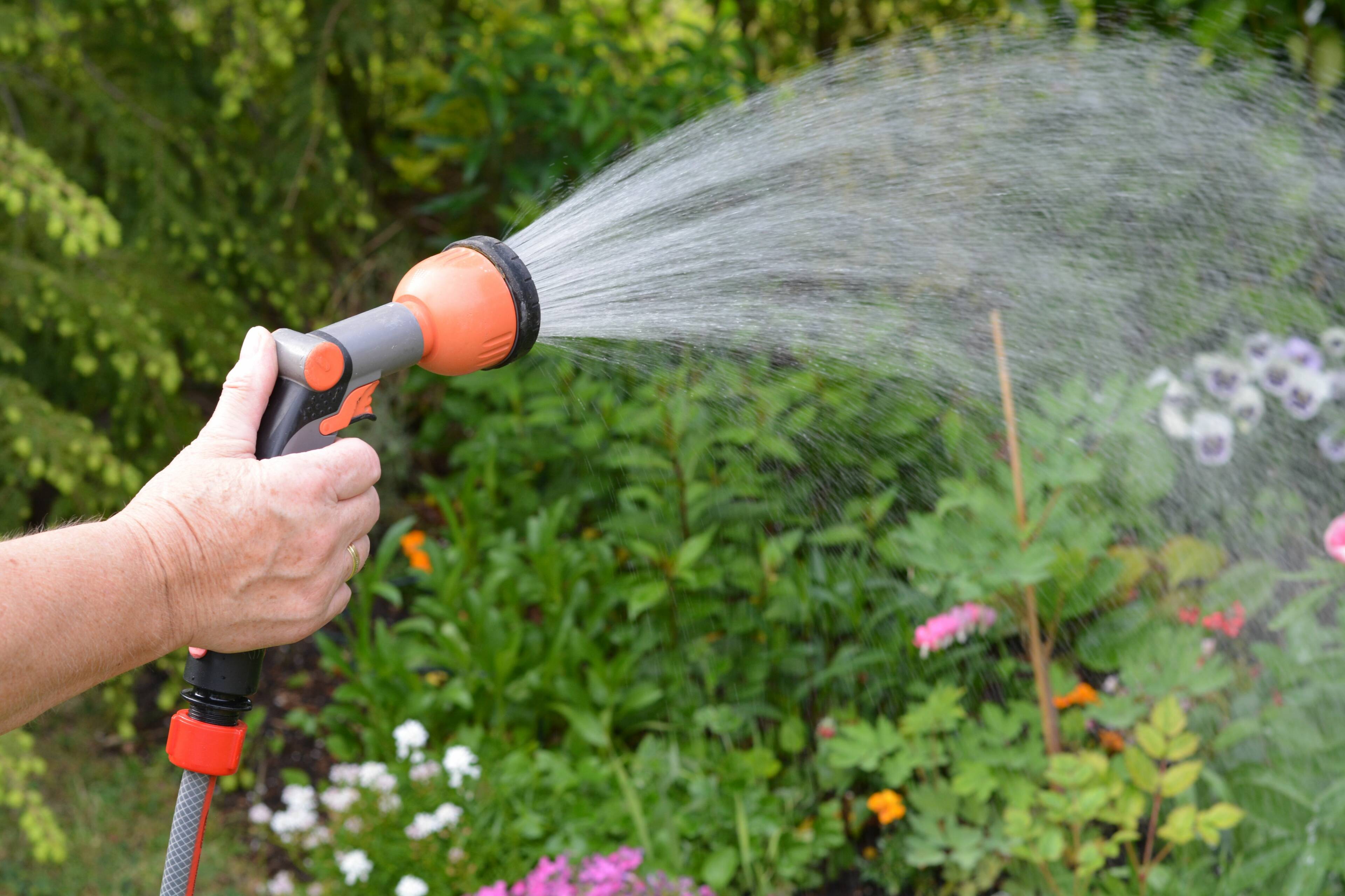 Foto van iemand die de tuin sproeit