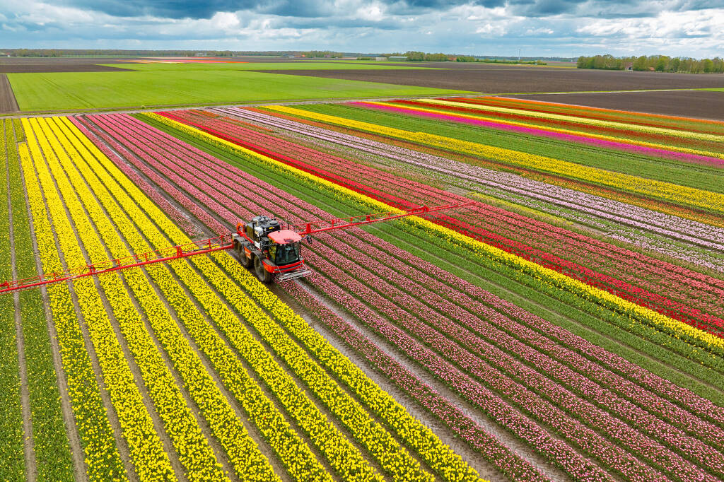 Foto van het aanbrengen van gewasbescherming met een landbouwmachine op een kleurrijk veld met tulpen