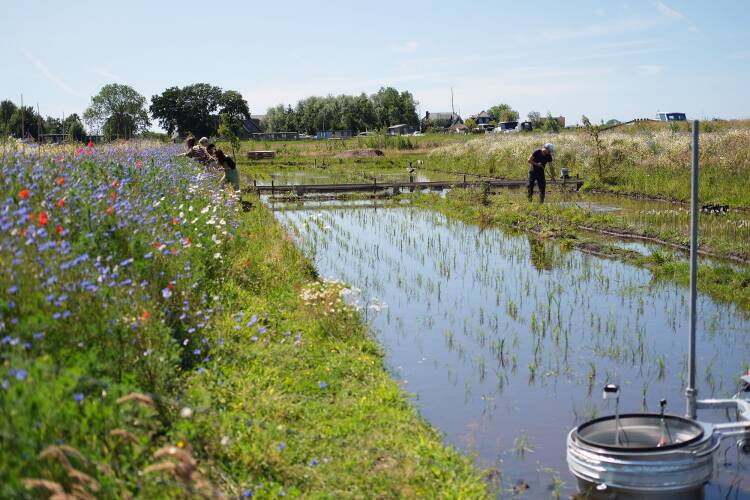 Foto van de vrouw vennepolder