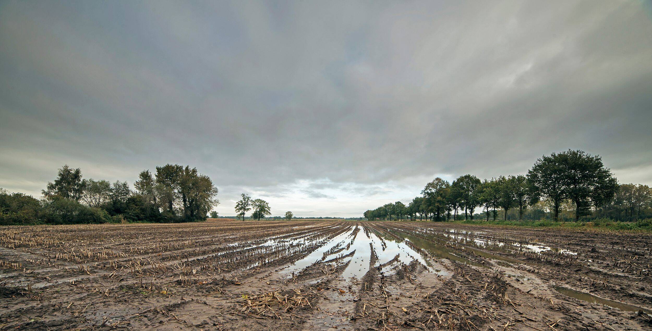 Foto van een nat akkerland waarop uitspoeling kan voorkomen