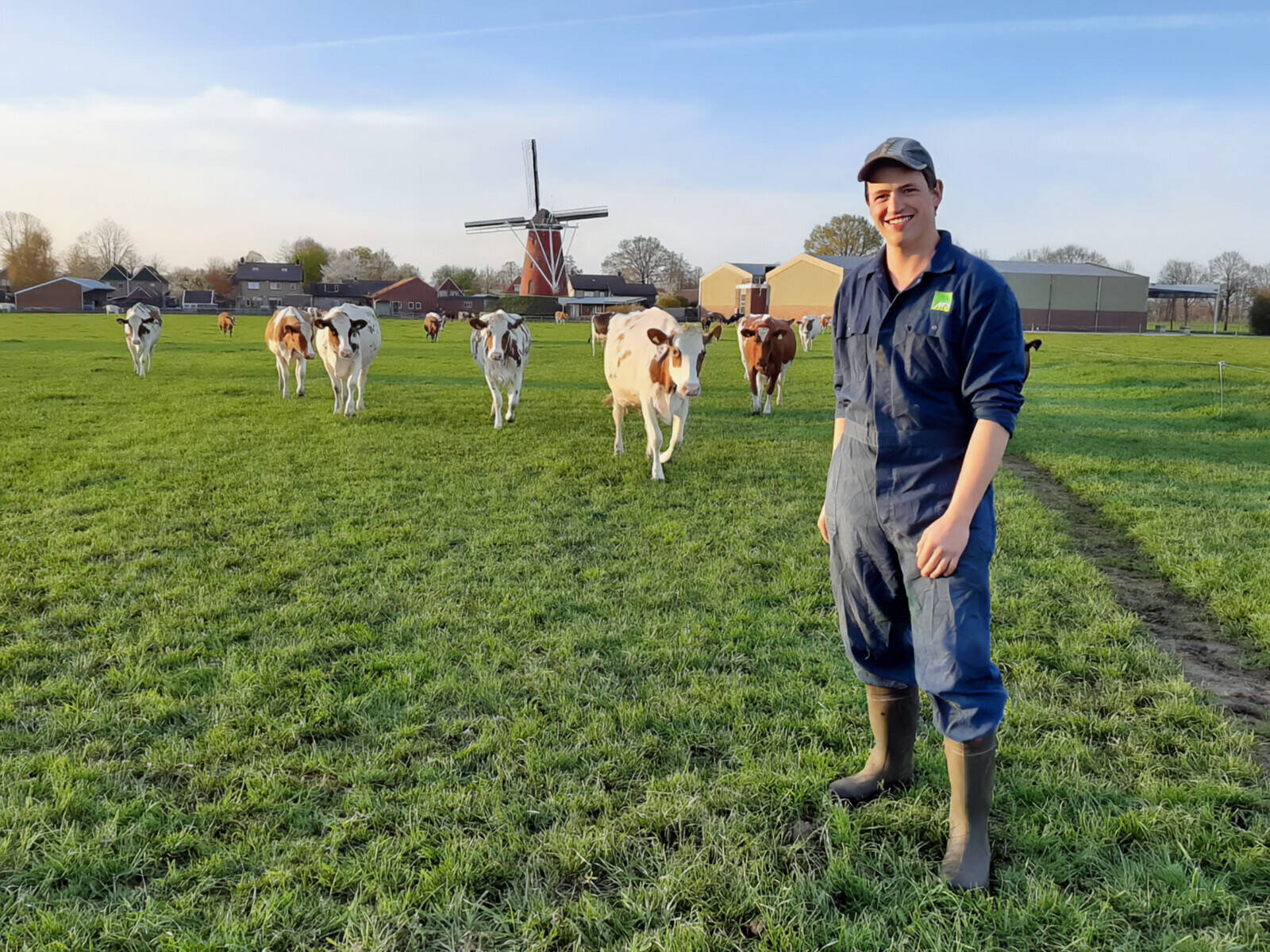 Foto van Emiel Koskamp in een weiland met koeien en op de achtergrond een boerderij en molen.