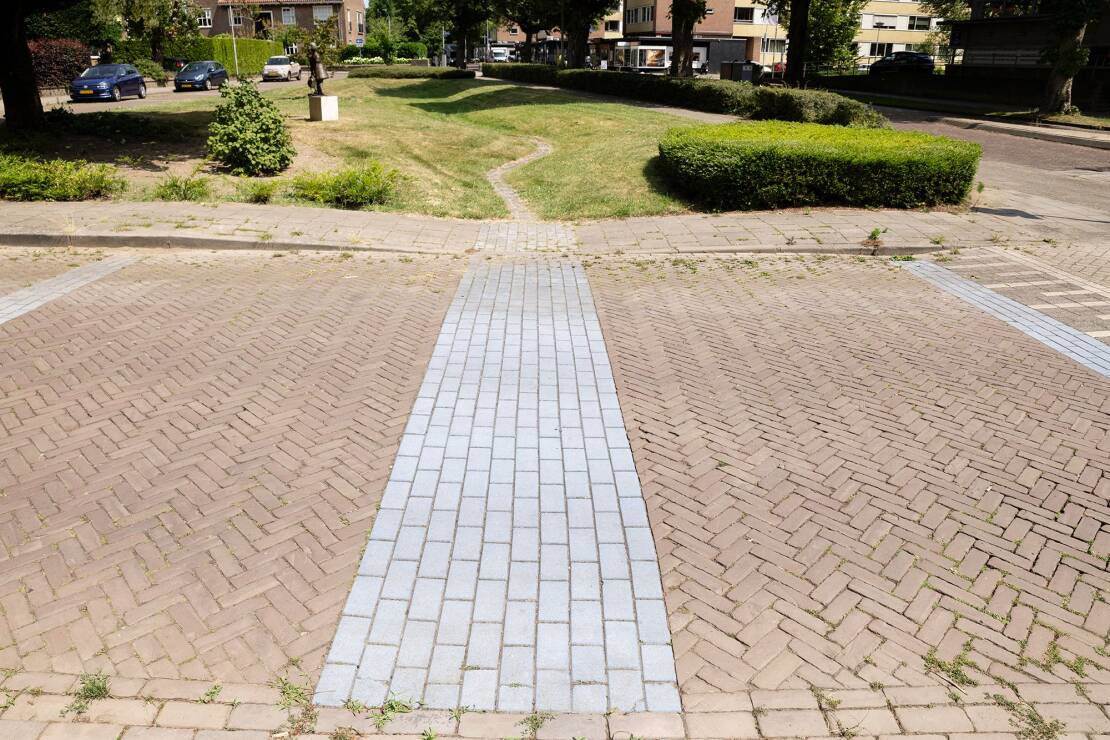 Foto van een wadi in Arnhem. Wadi's bergen regenwater en zuiveren het, waarna het water in de ondergrond infiltreert. Zo helpen wadi's tegen wateroverlast en droogte.