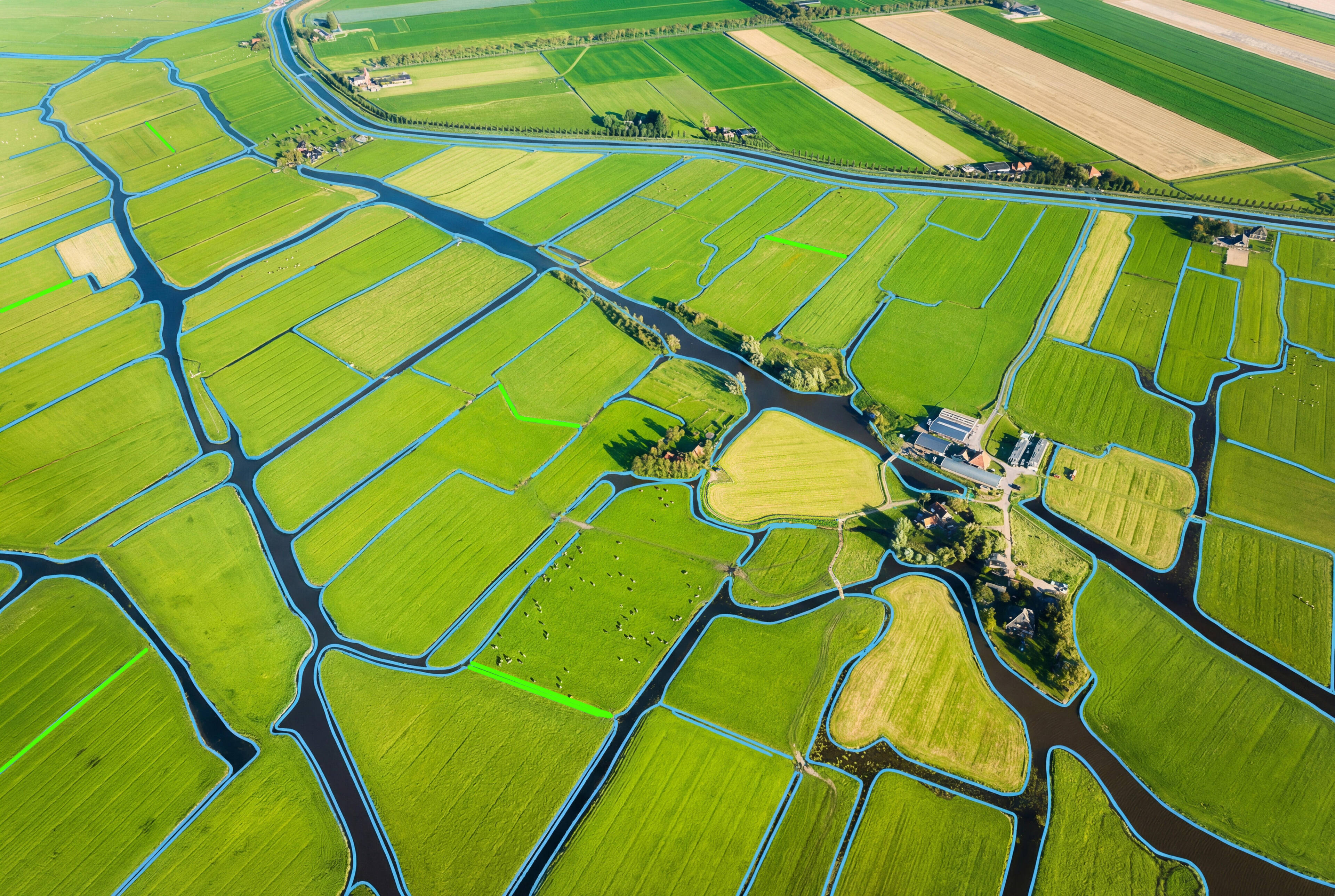 Foto van twee lepelaars in een brak ven. De lepelaar gedijt erg goed in een brakke omgeving.