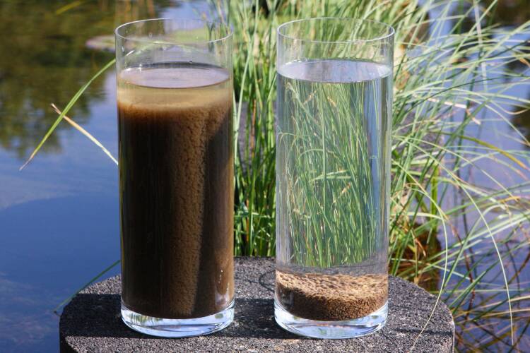 Foto van twee glazen gevuld met water en slib, het linkerglas zit tot bovenaan vol met slib gemengd met water. In het rechterglas is het slib tot korrels gevormd en neemt maar een klein laagje op de bodem van het glas in.