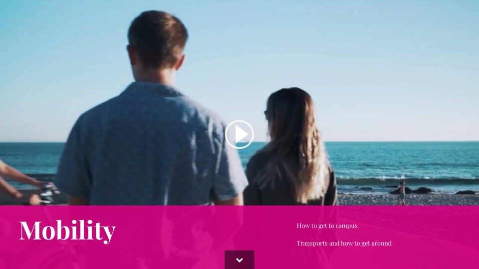 Mobility Life at Nova SBE Guide