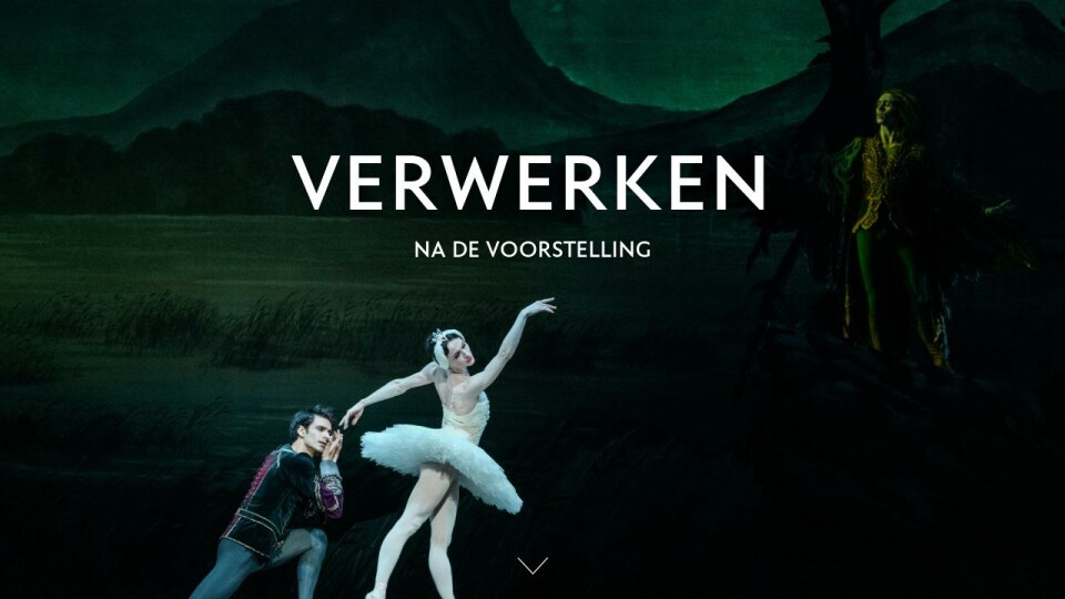 VERWERKEN - Lesmateriaal Het Zwanenmeer