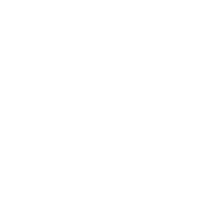 Image_3 (copy8)