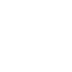 Image_3 (copy6)