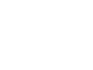logo_vsg_neg3.png (copy)