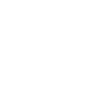 wit.png